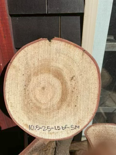 Spalted Maple